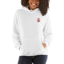 Load image into Gallery viewer, DST Hooded Sweatshirt
